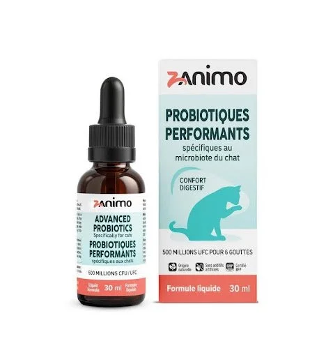 Probiotiques performants chat