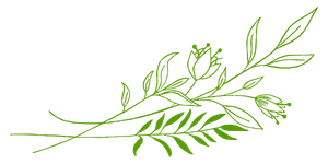 Naturopathe Animale au Québec