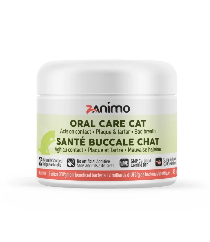 Santé buccale chat