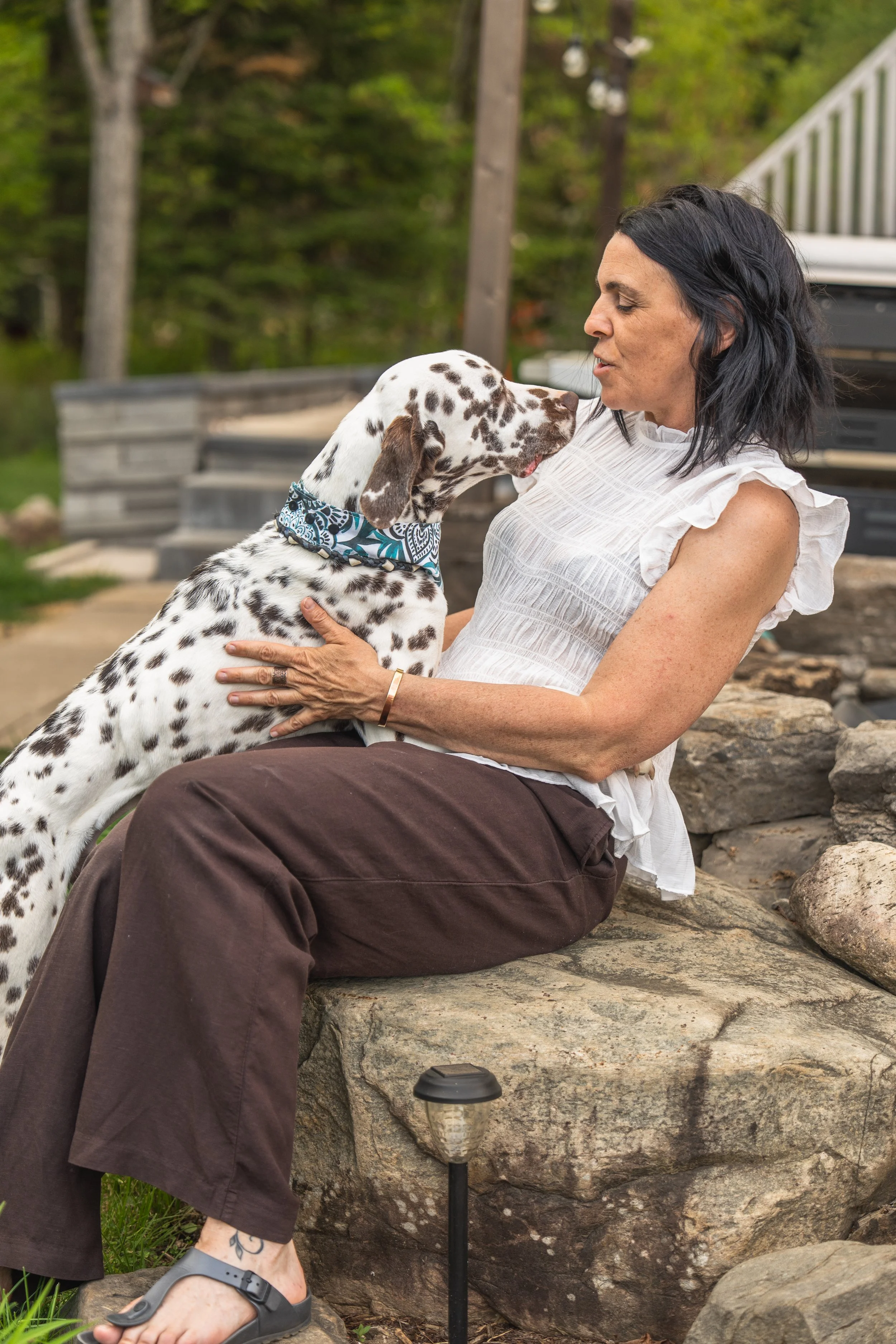 Prendre soin des animaux, au naturel - Naturopathie animale - Thérapeute Holistique - Mélissa Dusseault