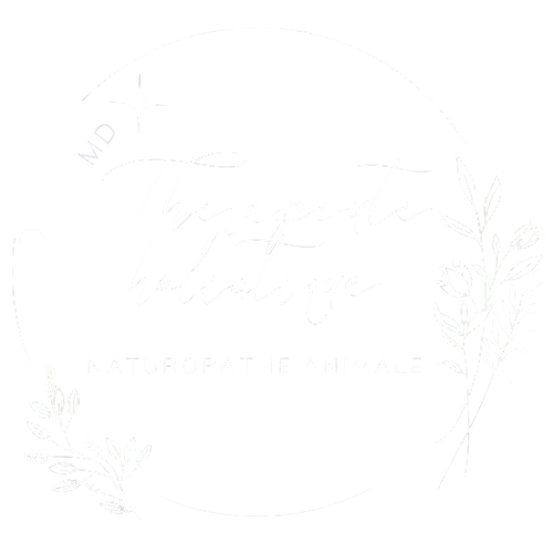 Naturopathe Animale - Mélissa Dusseault - Thérapeute Holistique - Sainte-Julienne - QC, Canada