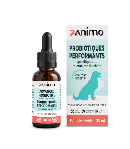 Probiotiques performants chien