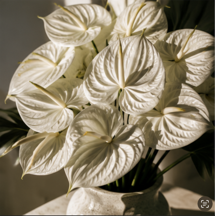 bold-closeup.png