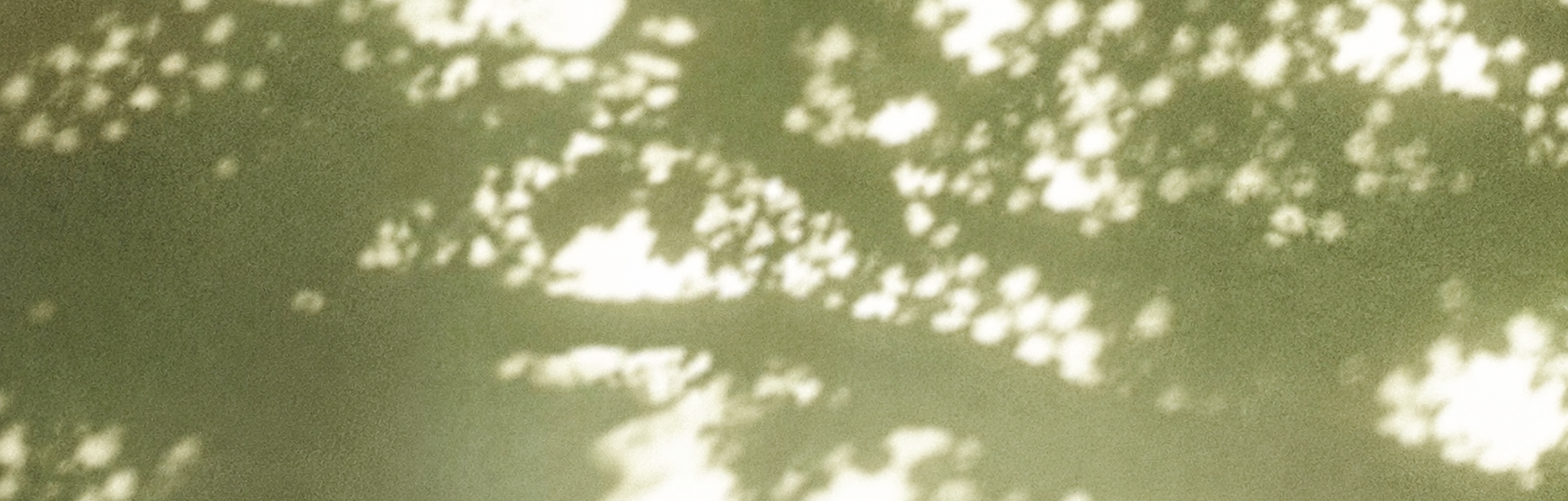 Green, dappled leaf pattern