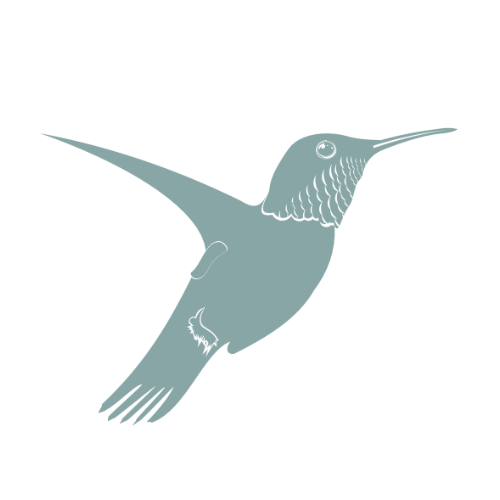 Sage green hummingbird illustration, logo for Nicola Pott Therapy
