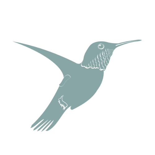 Silhouette of a hummingbird in flight against a black background.