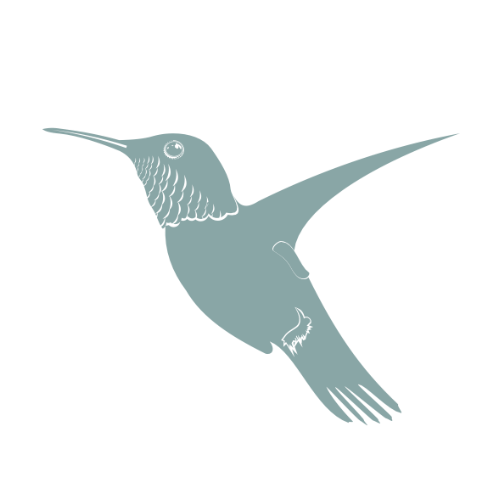 Silhouette of a hummingbird in flight with wings spread