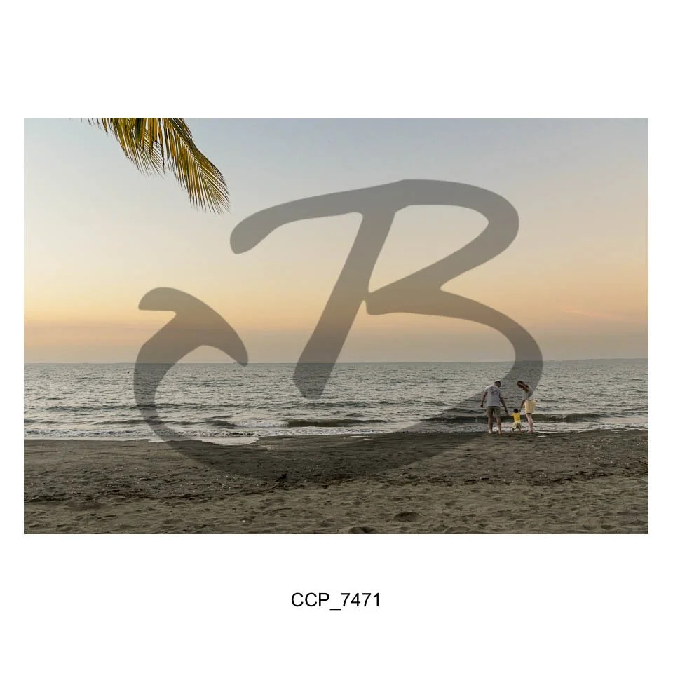 LD Gallery-79.jpg