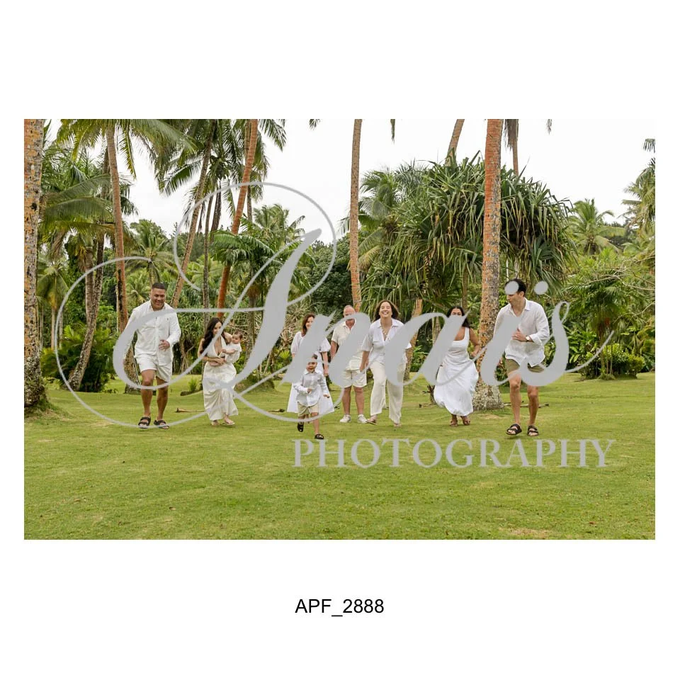 LD Gallery-017.jpg
