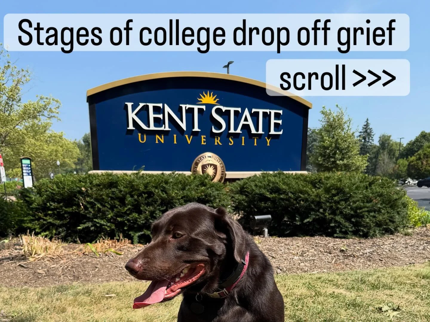 4th year of college dropoff is a reminder of how far we&rsquo;ve come - but also how fast time flies. ⏳

As we enter the last year of this kid-in-college season of life, we&rsquo;re grateful to be a short 300 miles away instead of 8,000 miles from la