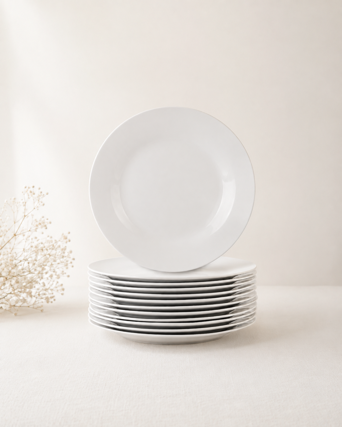 10" Catering Round Dinner Plate - $1 each 