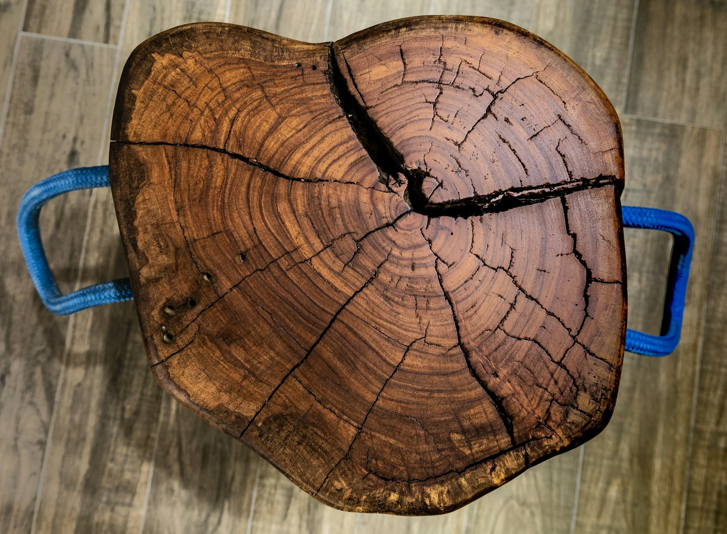 Top view of a cracked, circular wooden surface with blue ropes on each side, wooden floor in the background.