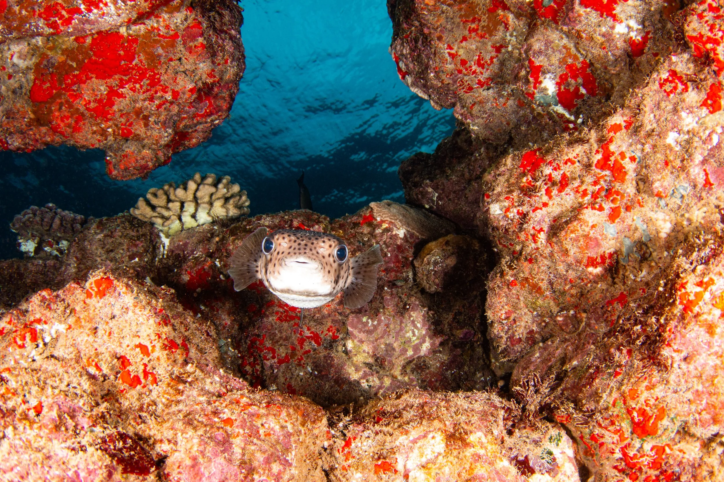IMG_6437-Edit.jpg