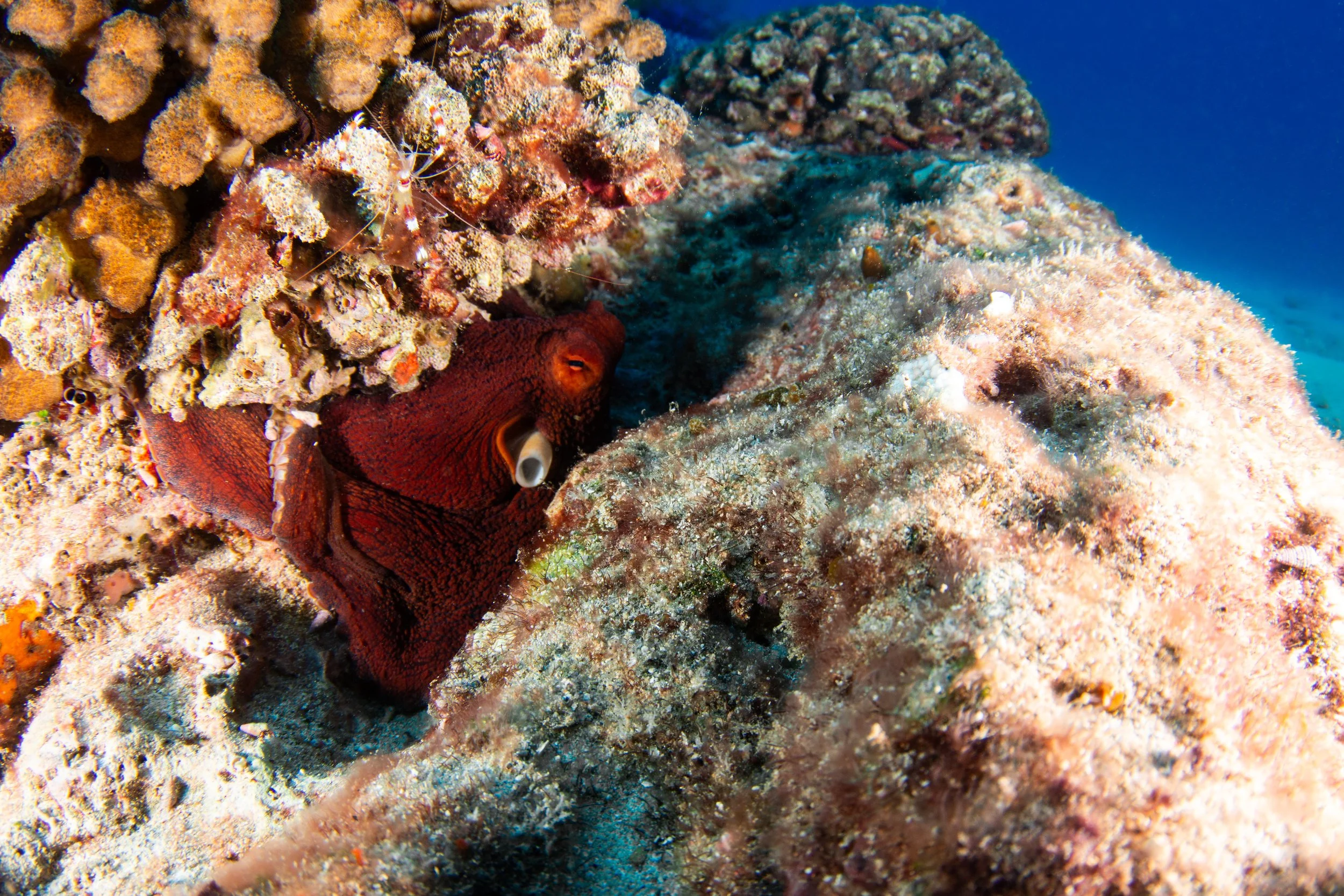 IMG_5814-Edit.jpg