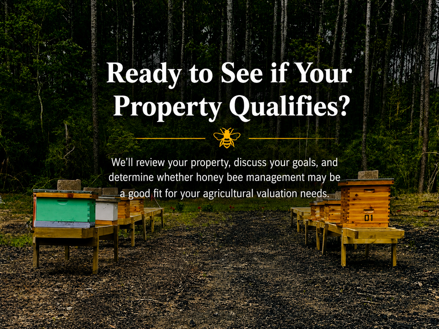 Agricultural valuation through beekeeping services for Southeast Texas landowners provided by Freddie Mae’s Honey Bees.
