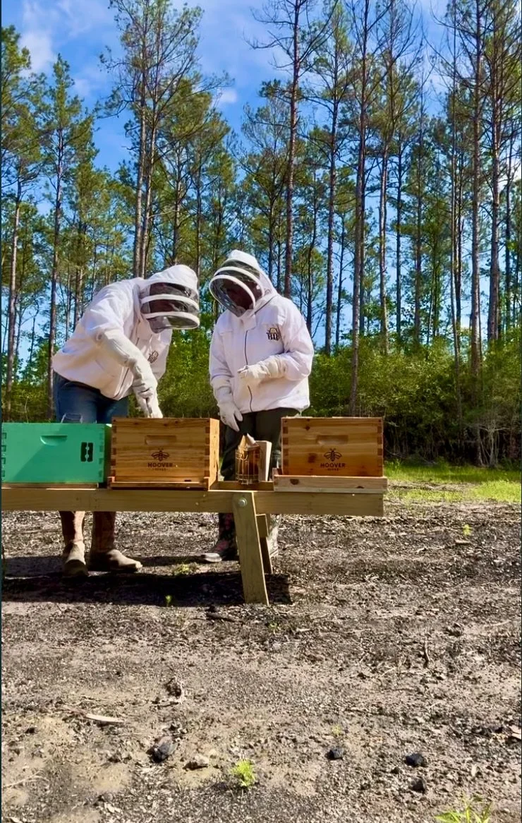 Freddie Mae’s Honey Bees conducting professional hive inspections and honey bee management services for agricultural valuation in Southeast Texas.