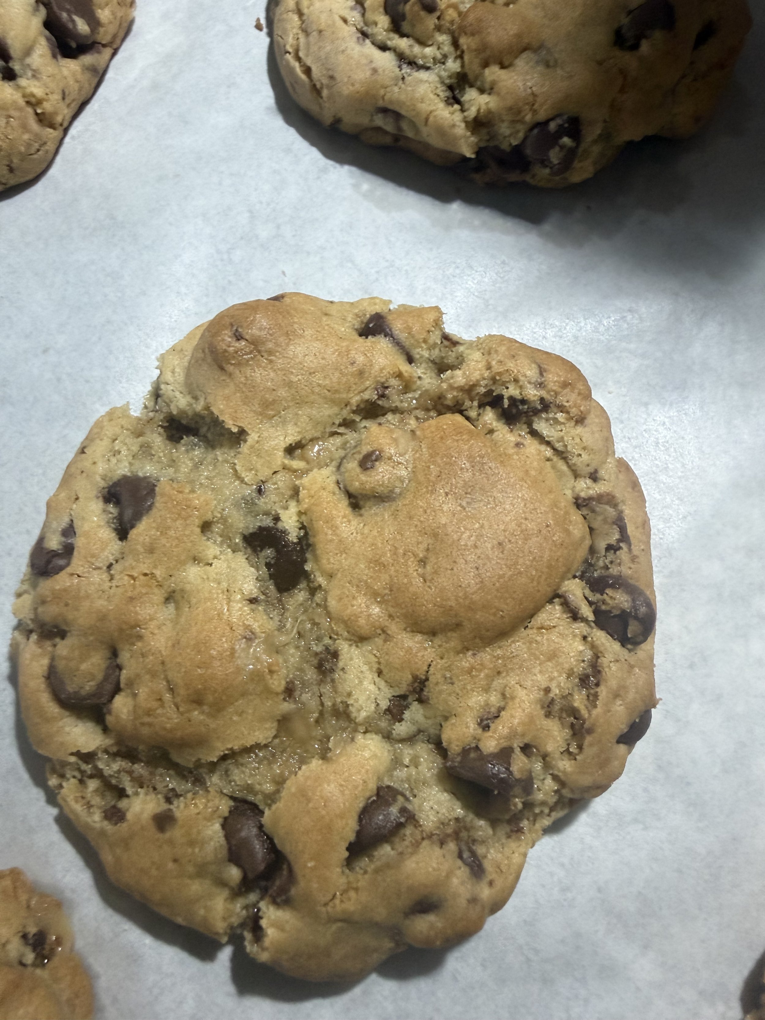 Gluten Free Choc Chip Cookie