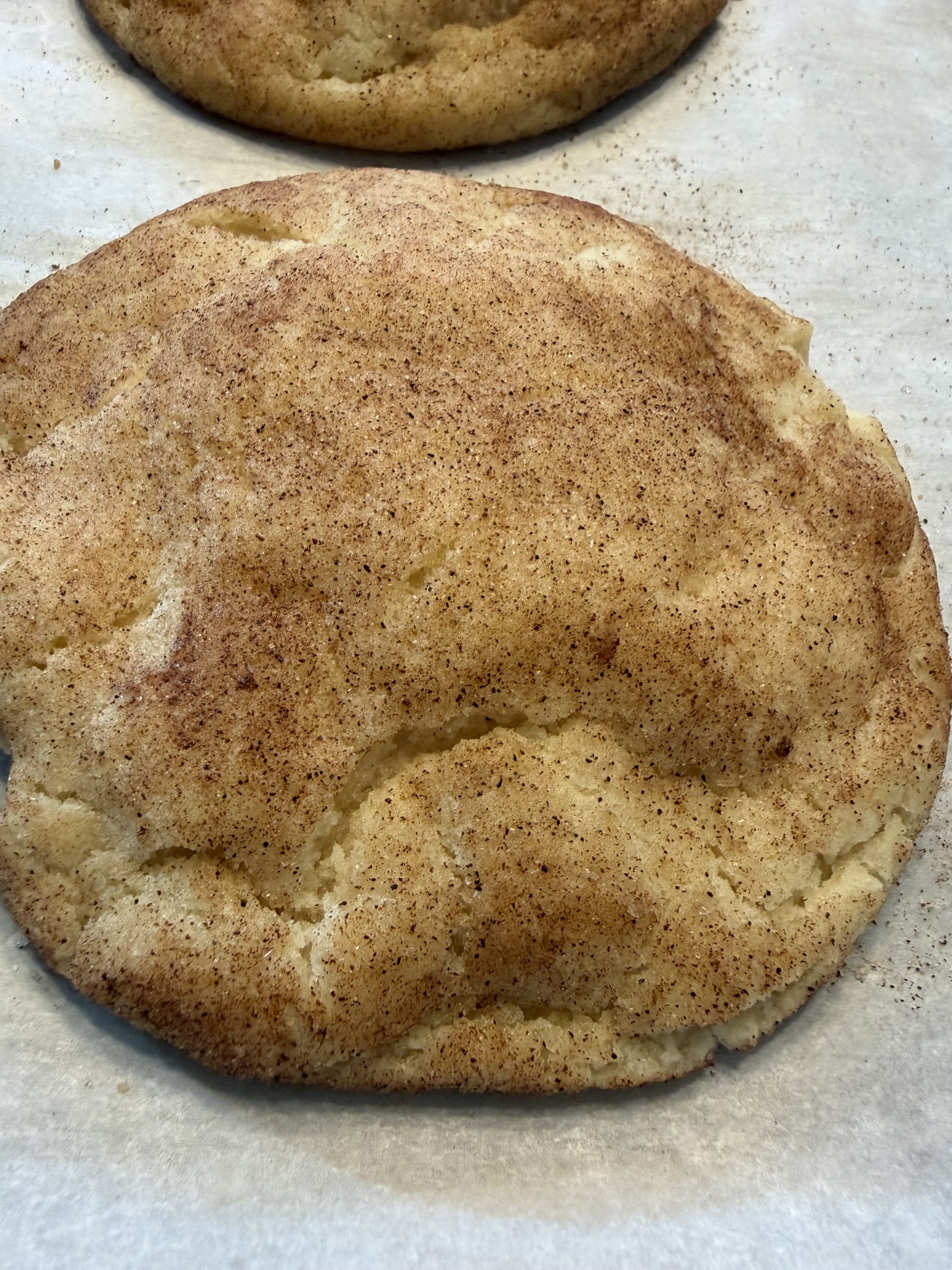 Snickerdoodle Cookie