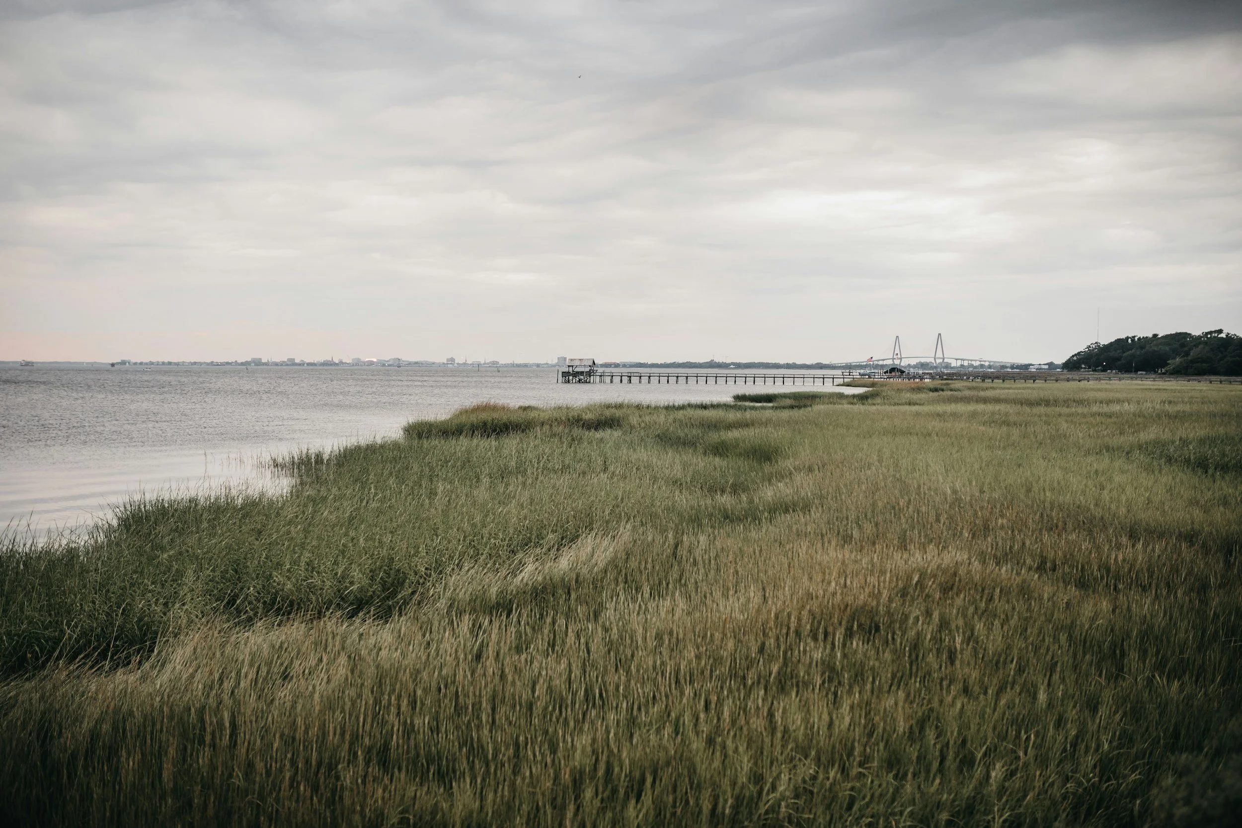 A shoreline with grassy dunes, a small pier extending into the water, and a distant city skyline with a bridge under a cloudy sky.