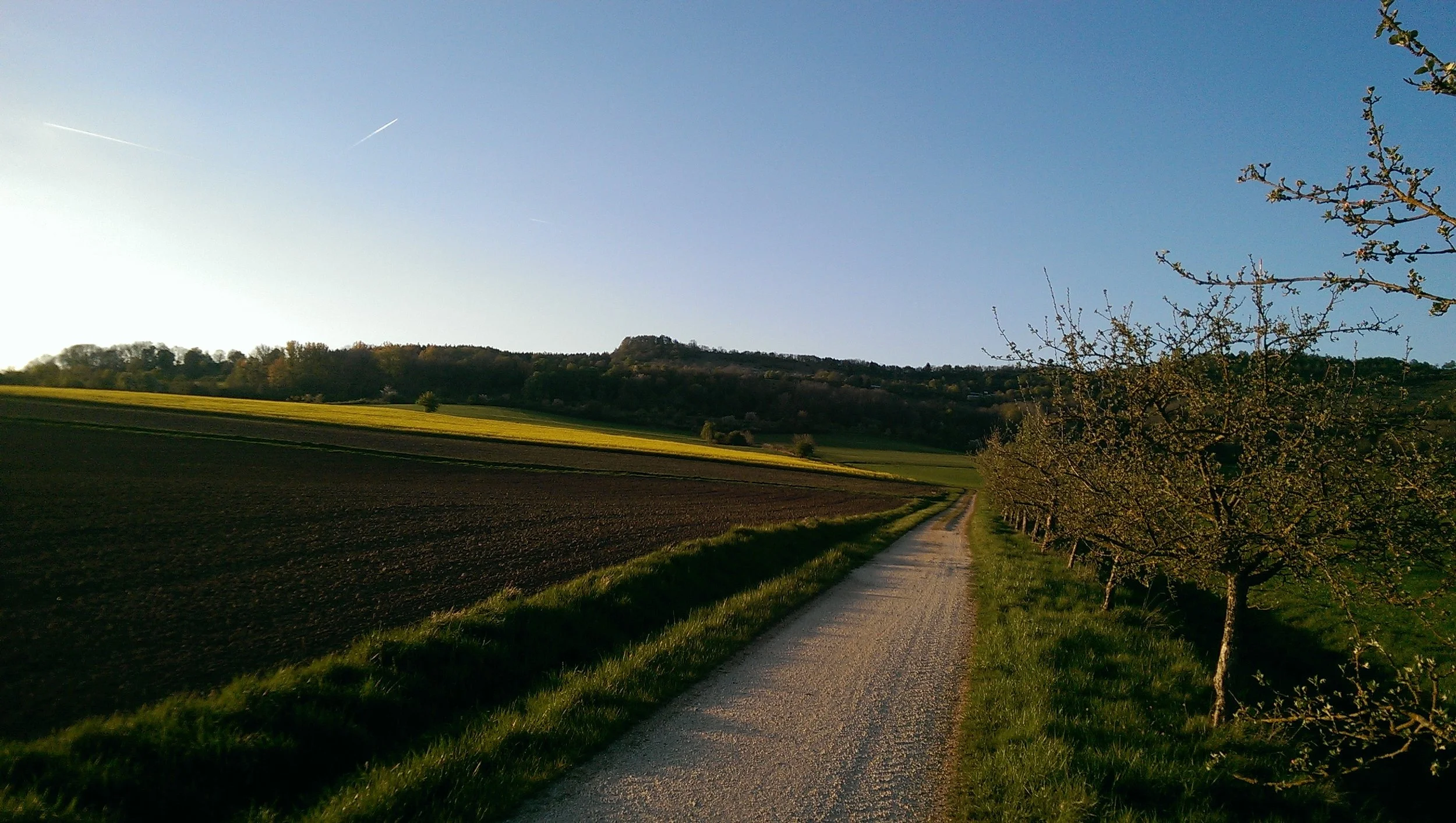 Hesselberg Apfelblüte