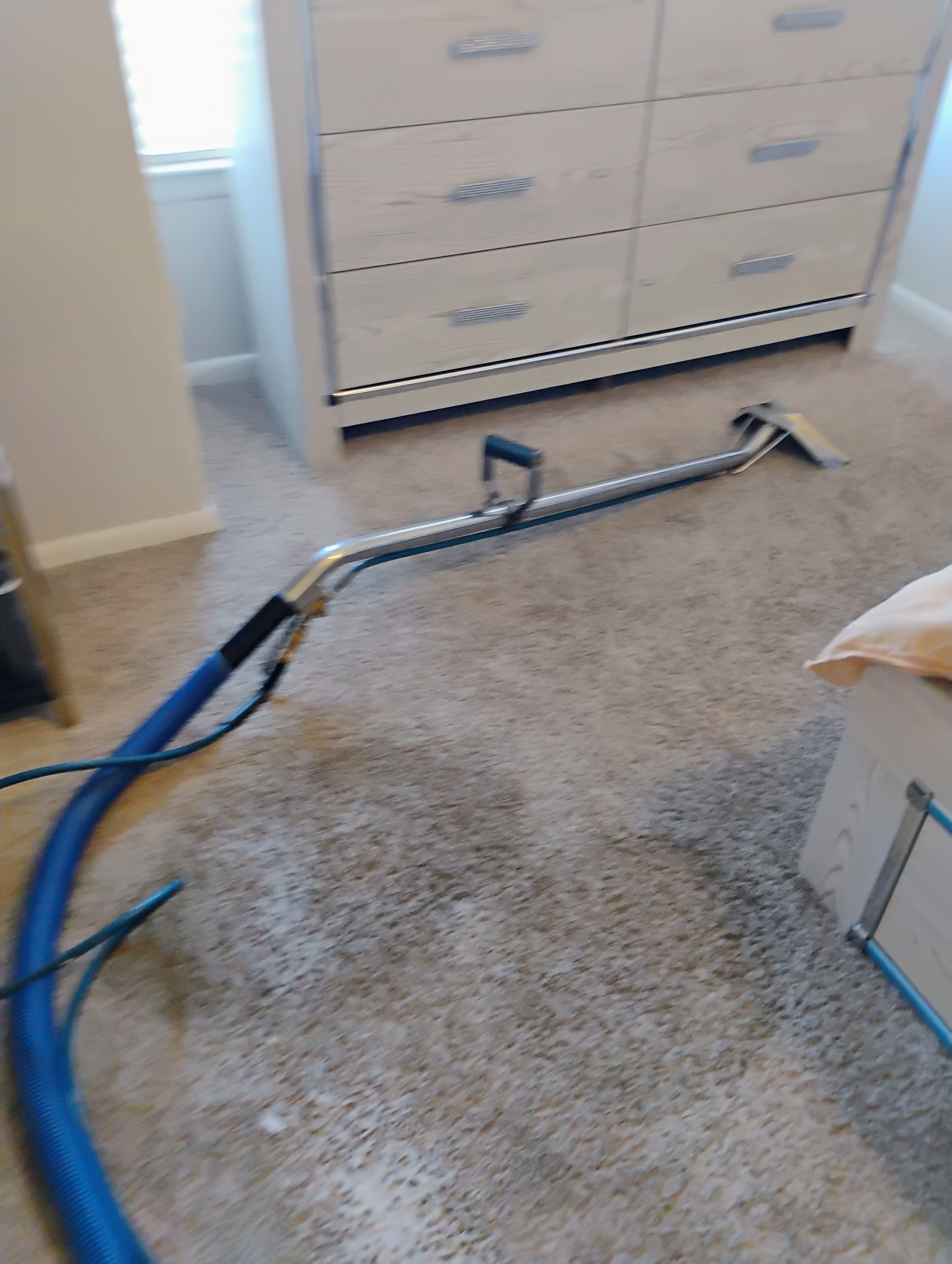 Carpet Cleaning