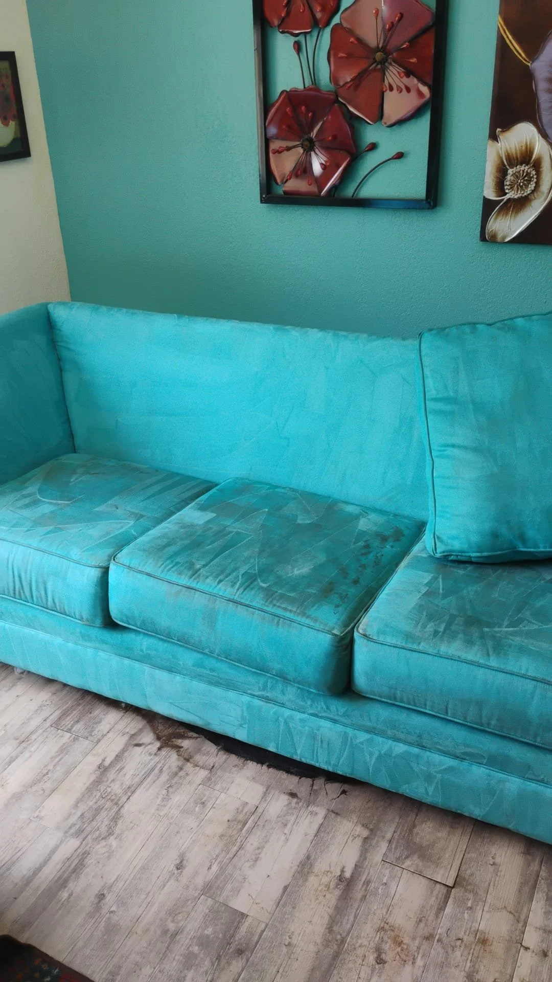 A light blue sofa with three cushions, showing some stains and wear, in a room with light-colored wooden floor and teal wall decorated with floral artwork.