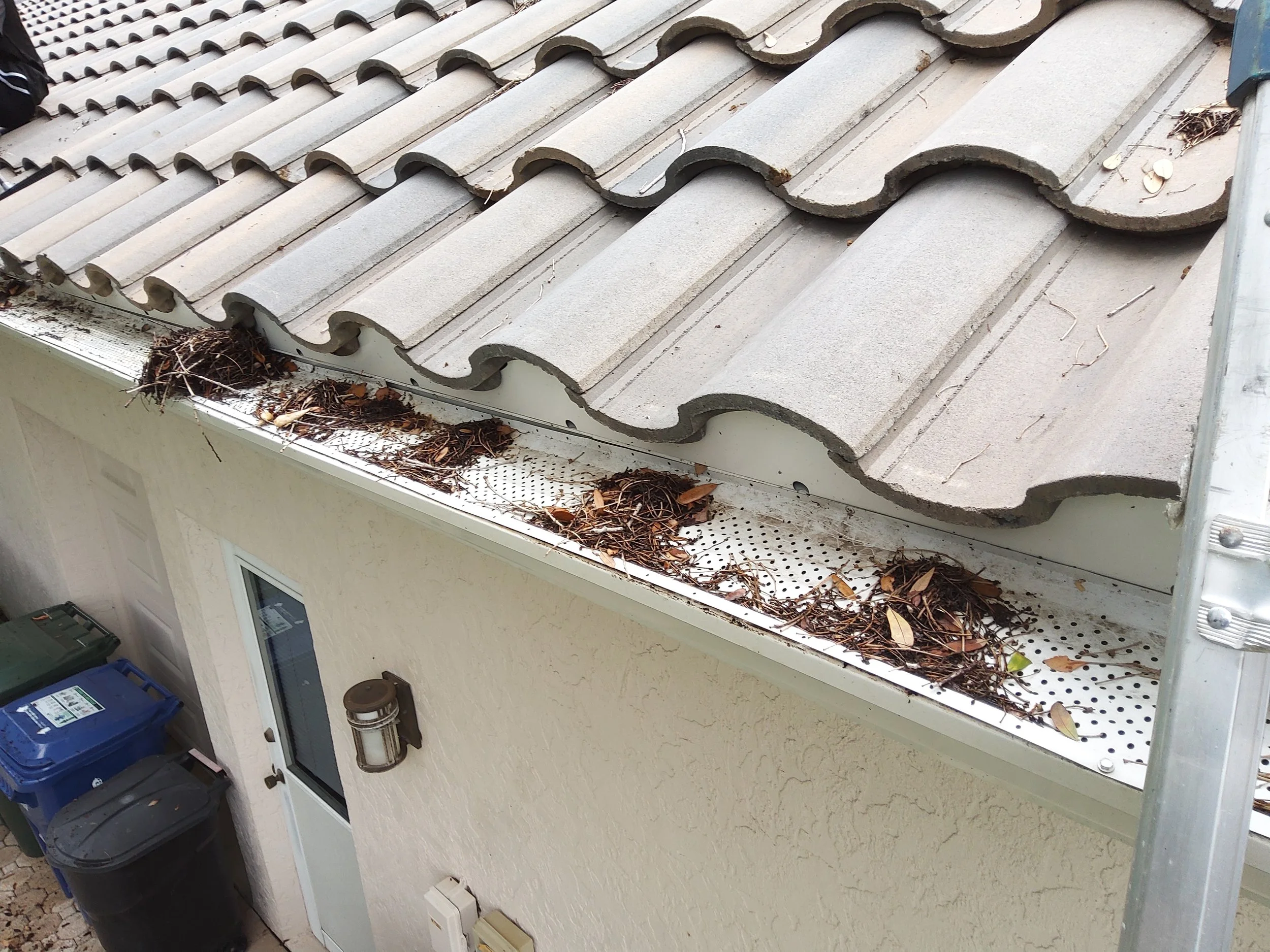 Gutter Cleaning Services