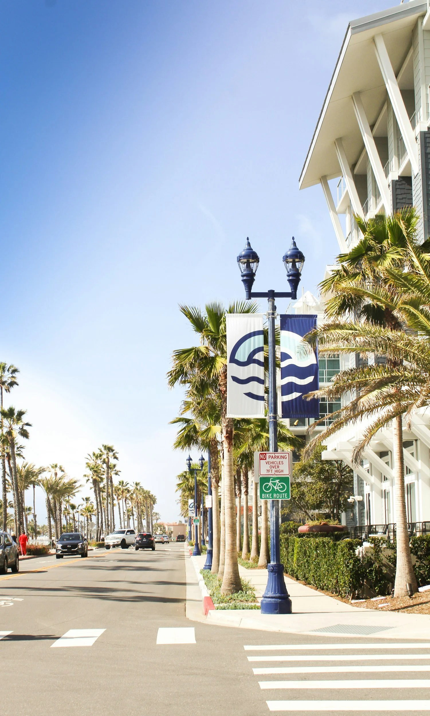 Street view with palm trees, cars, and modern buildings under a blue sky. Traffic signs include a bike route and no parking sign.