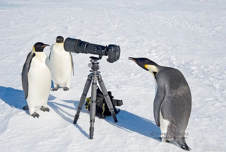 Take the survey: How do you feel about being photographed?