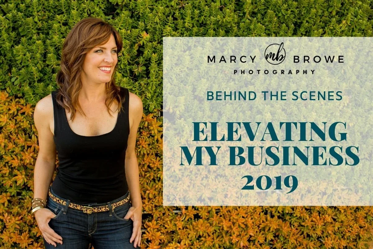How I elevated in my business in 2019