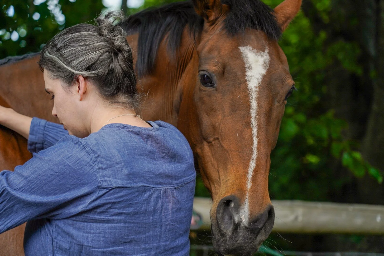 Animal Communication