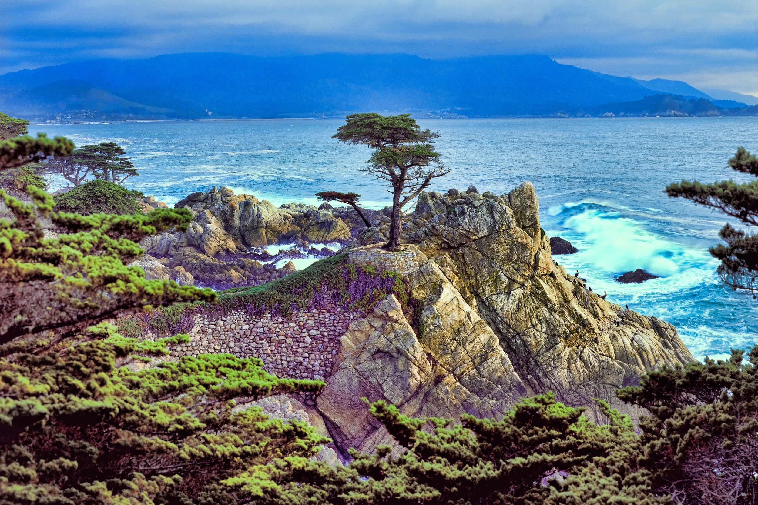 lone cypress montery storm.jpg