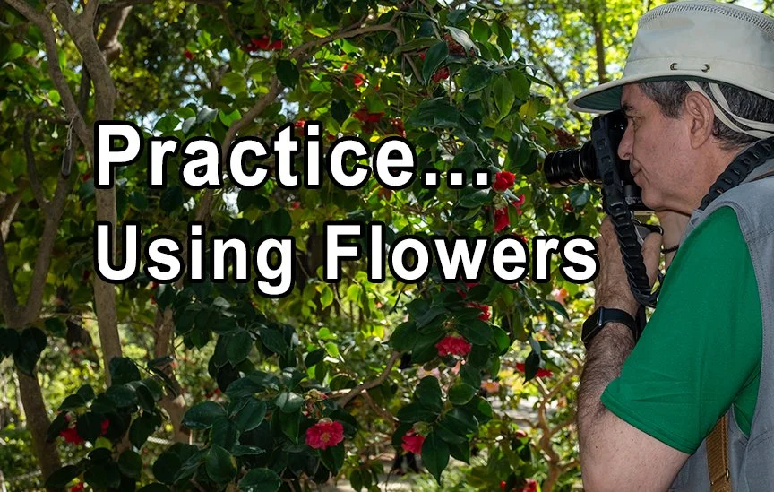 Why I Photograph Flowers… Even Though I’m a Landscape Photographer