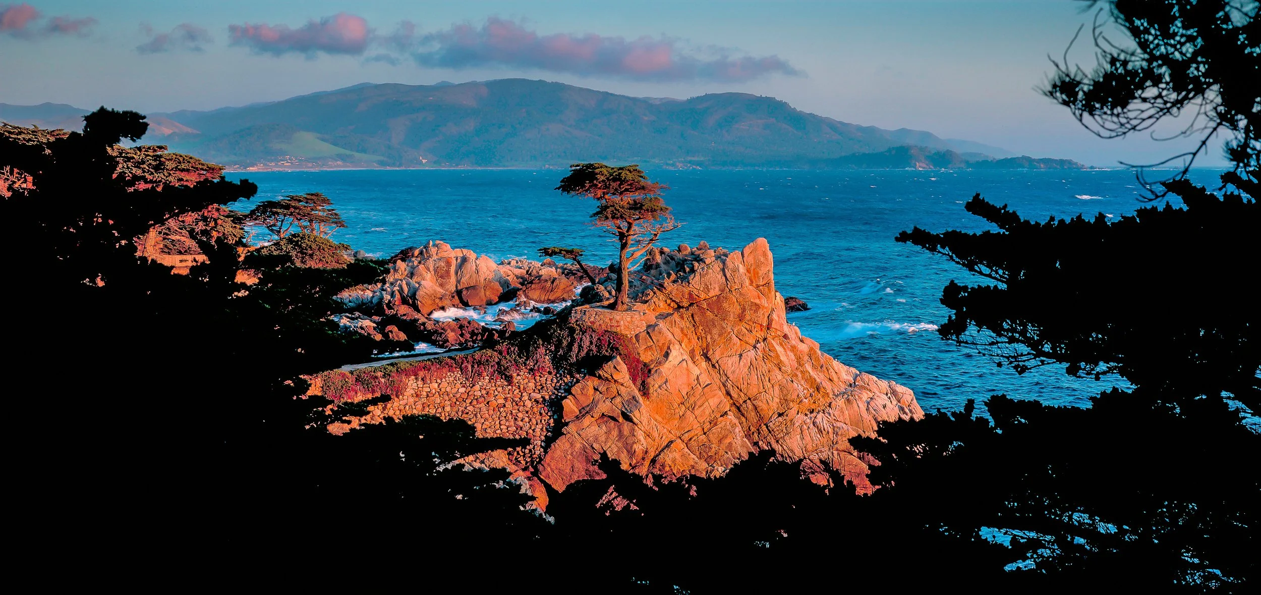 lone cypress monterey.jpg