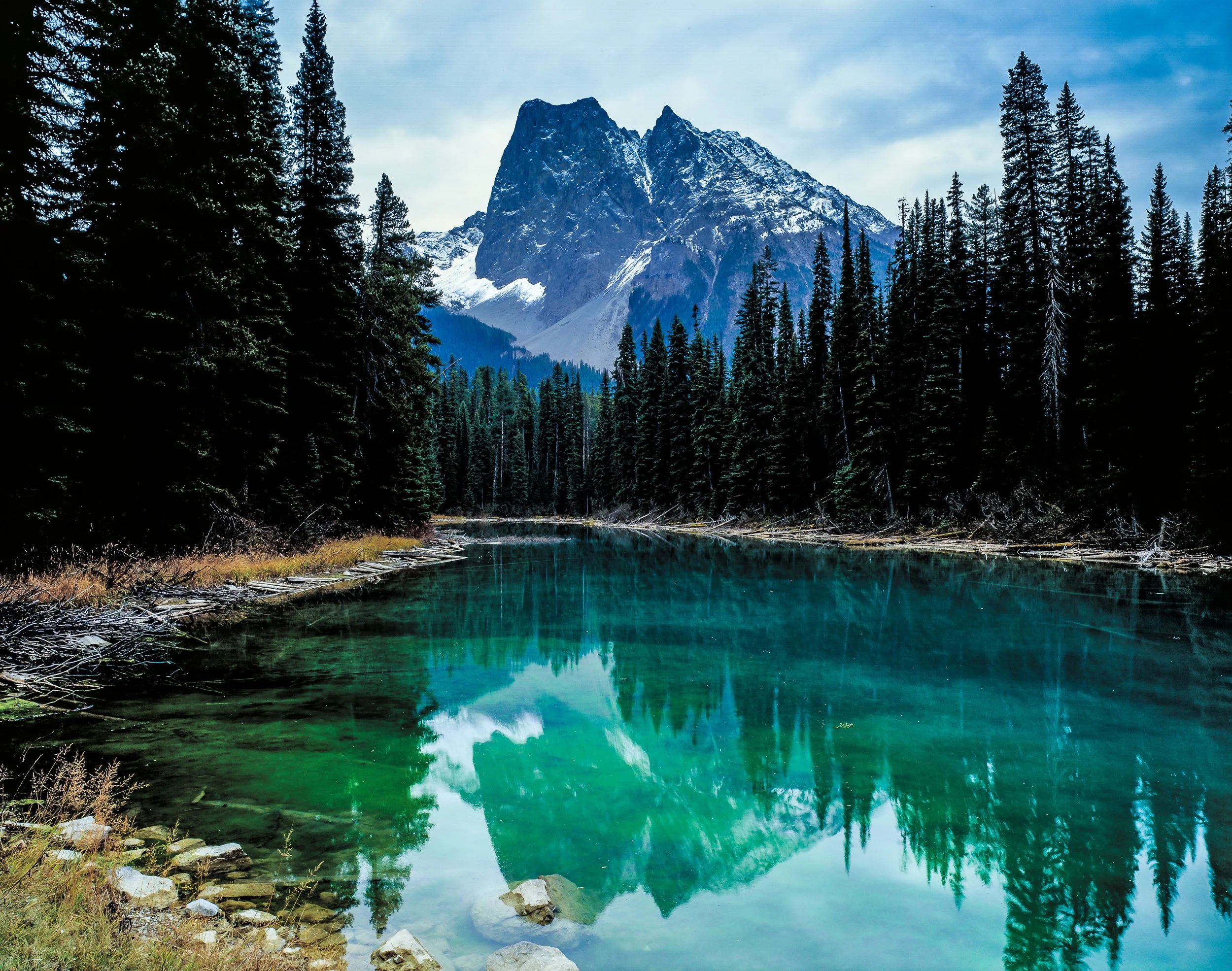 Mt Burgess Alberta Canada.jpg