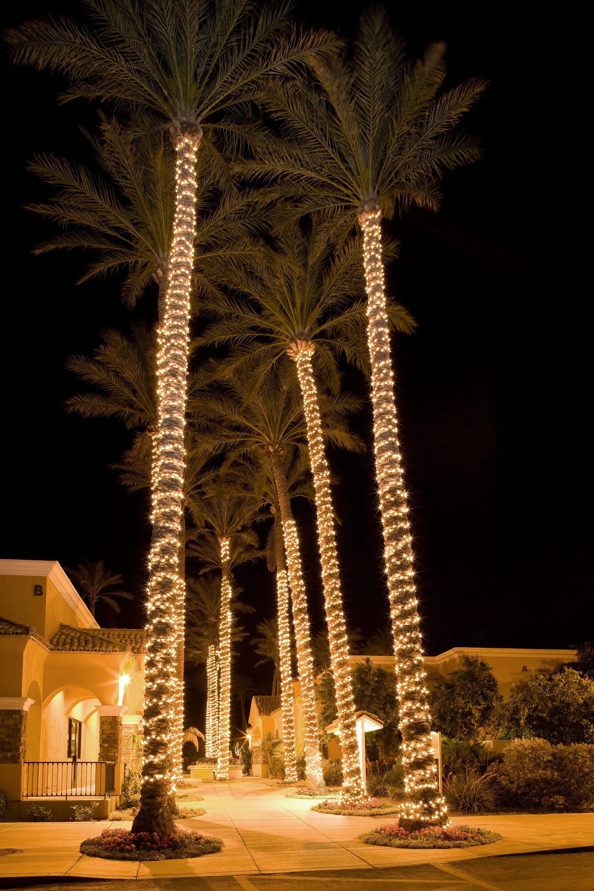 421_palmcreek_0407a.jpg