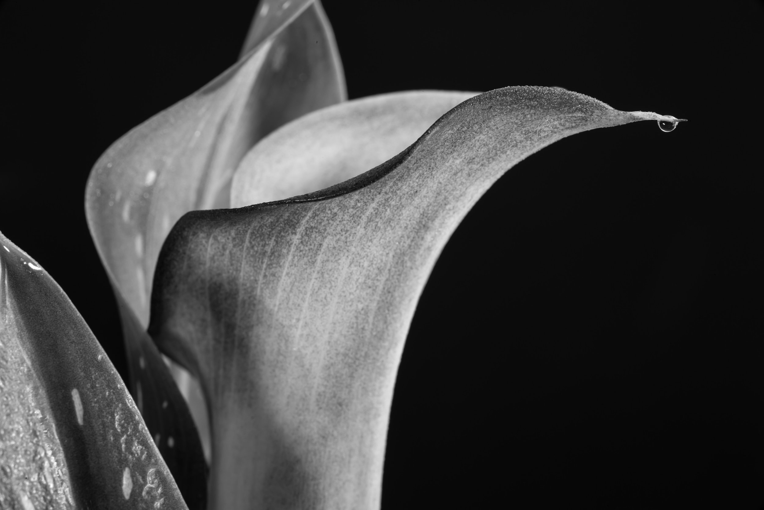 L1001049.jpg