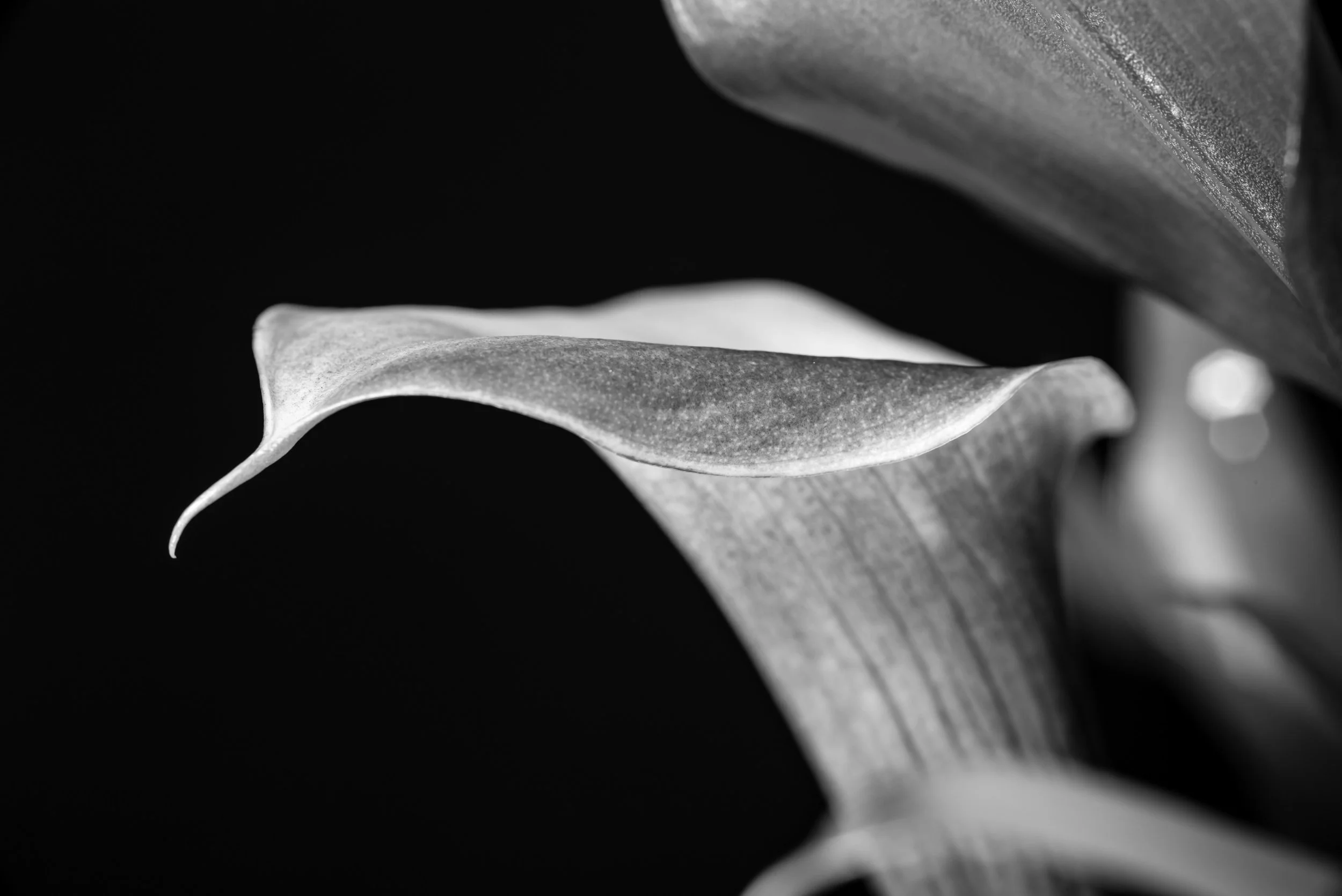 L1000882.jpg