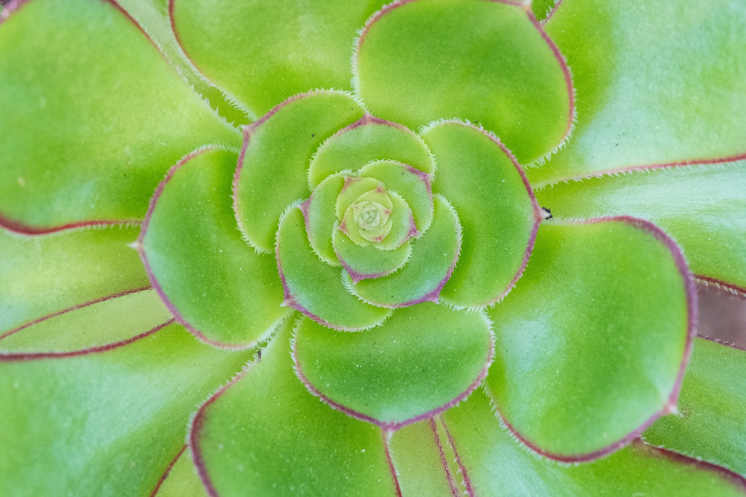 DSCF0083.jpg