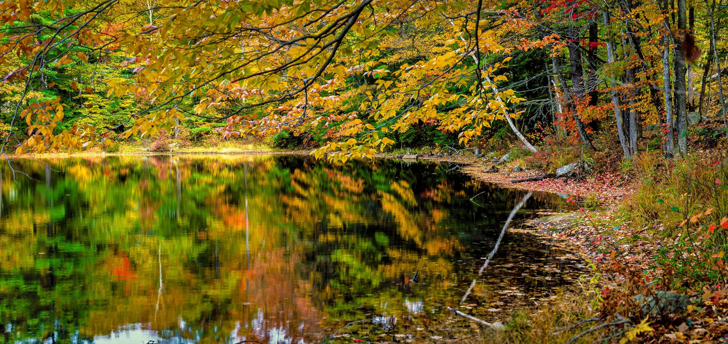 fallpond.jpg