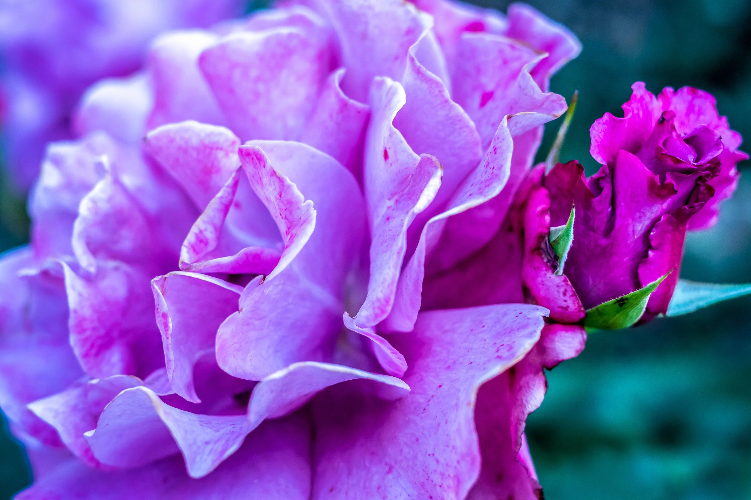 L1010973-Edit.jpg
