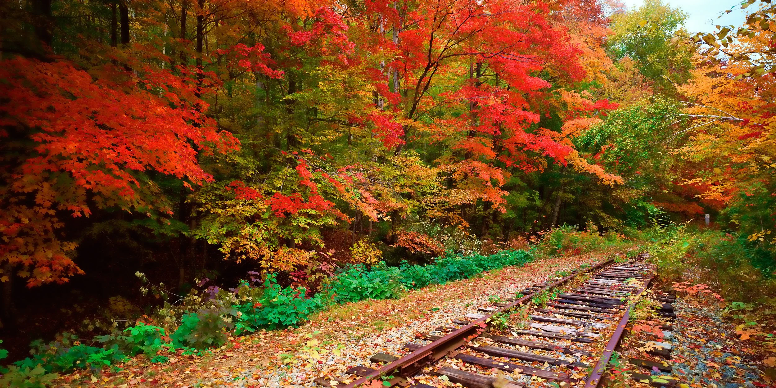 fall-railway.jpg