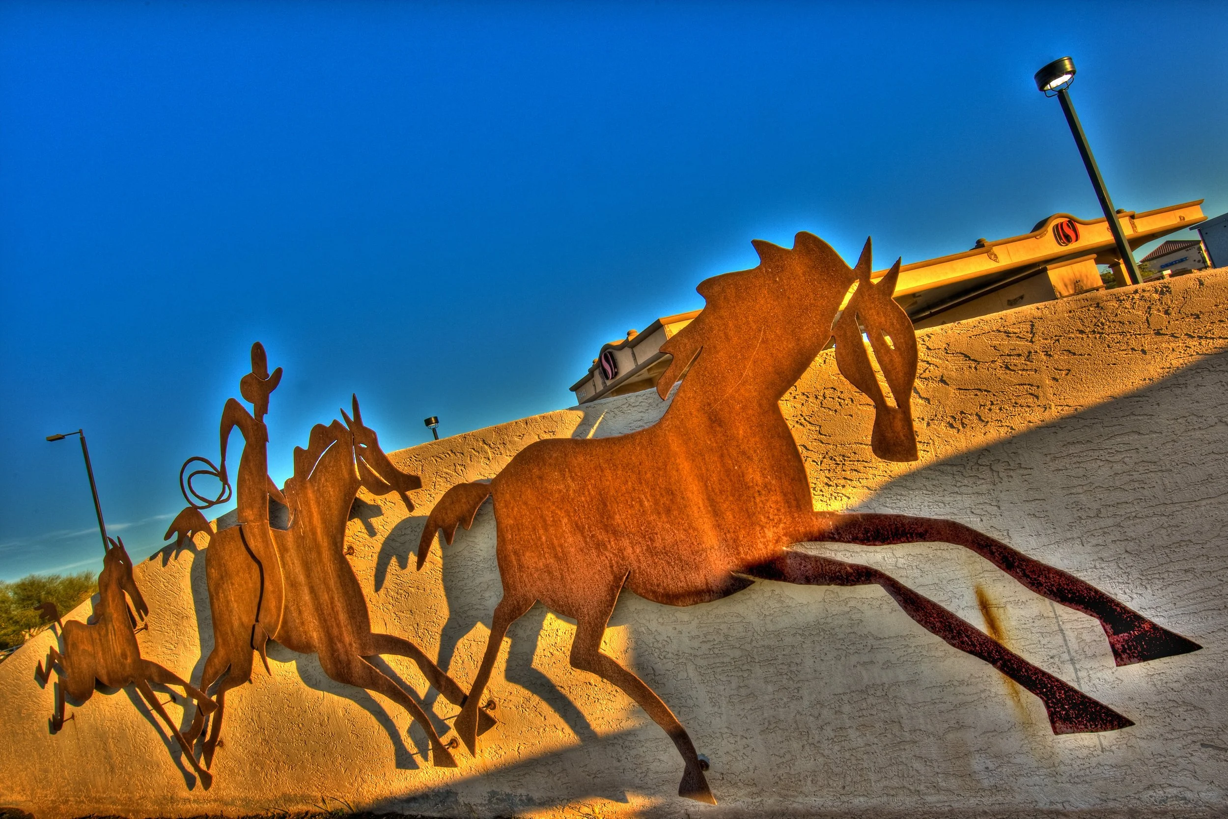 safeway_horses.jpg