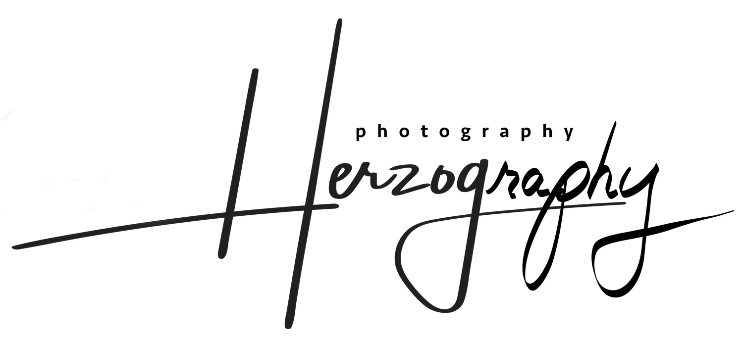 Richard Herzog | Herzography Landscape Photography