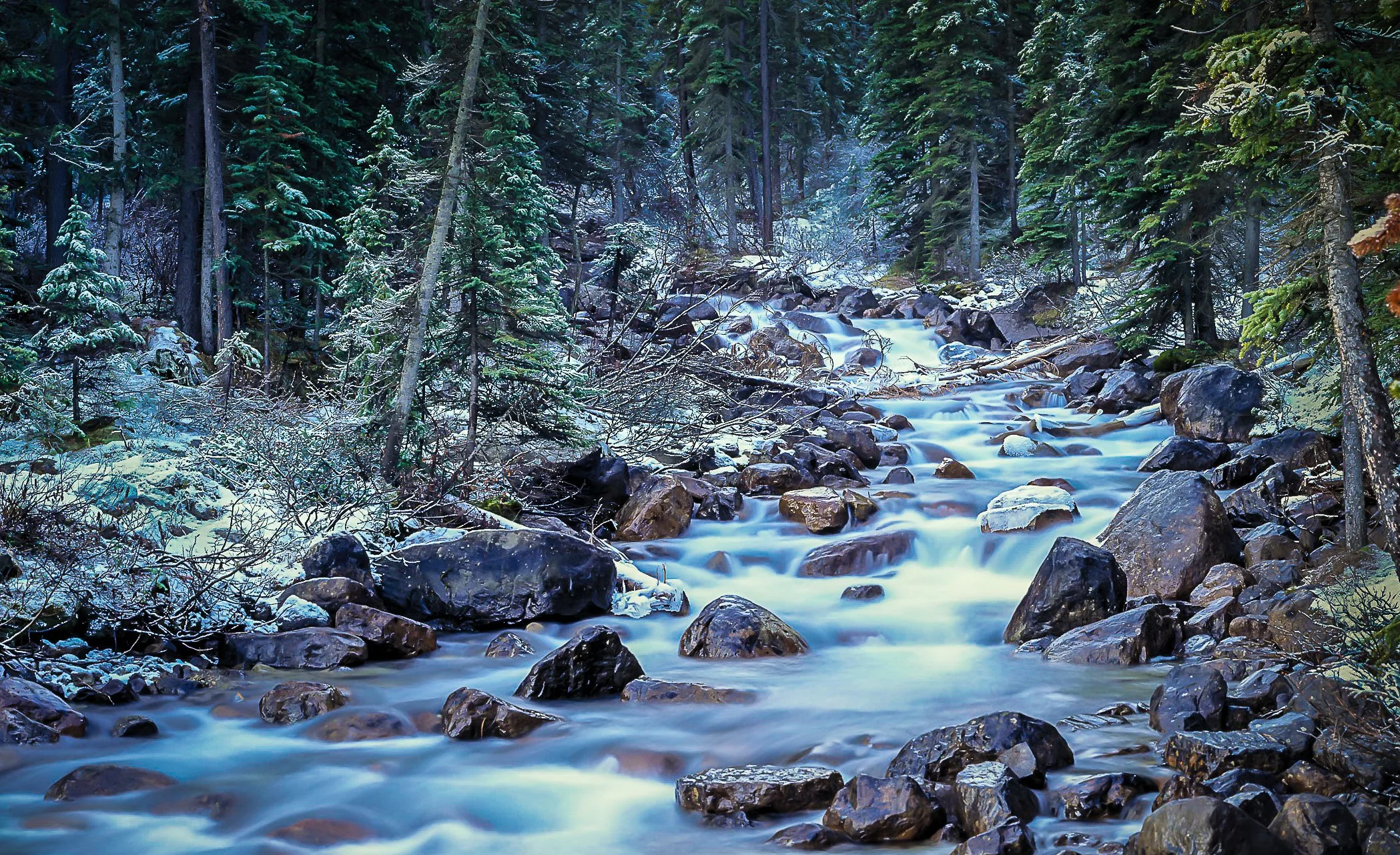 Alberta Winter Stream.jpg