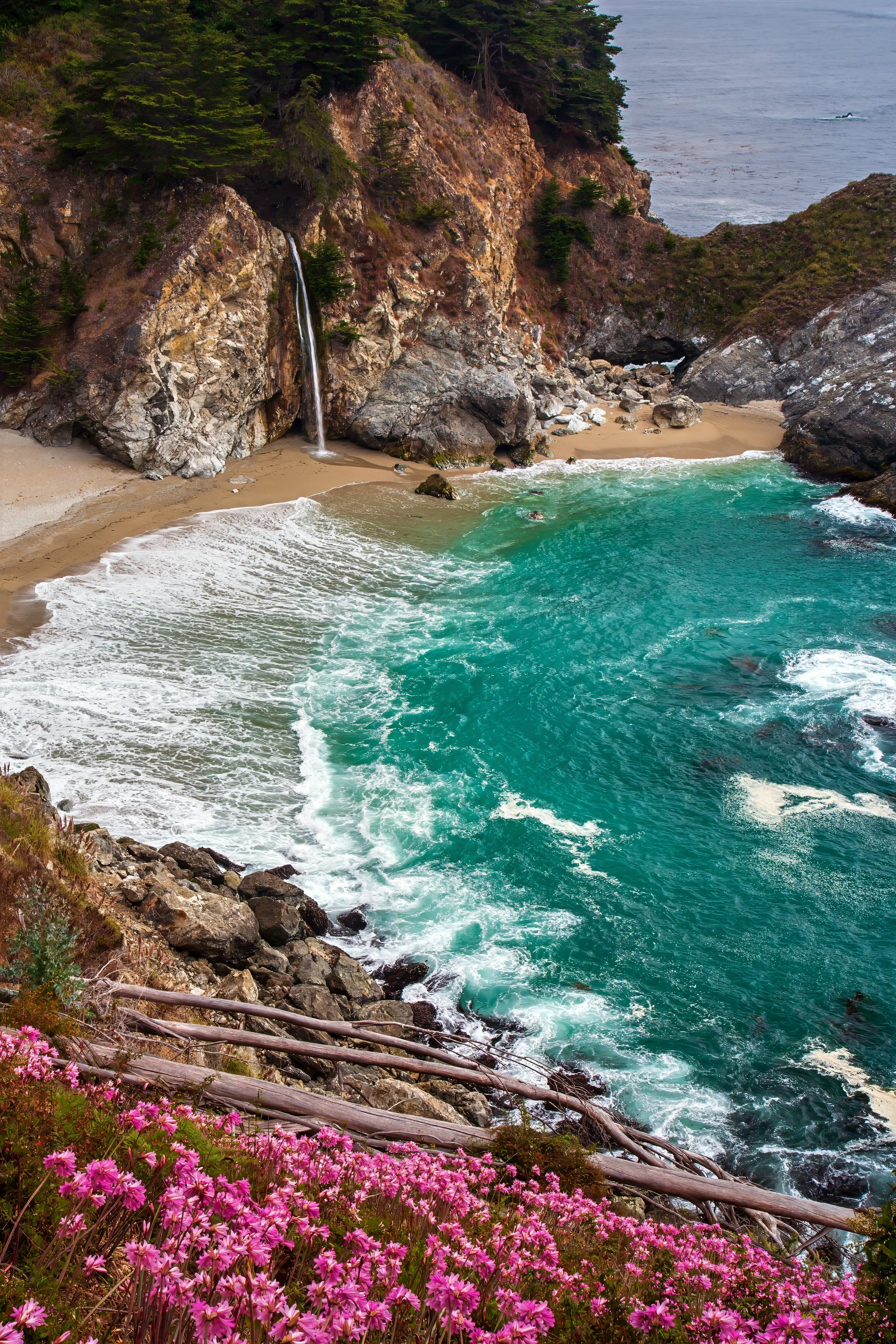 Pink flowers along rocky shoreline with cliffs, small waterfall, and ocean waves.