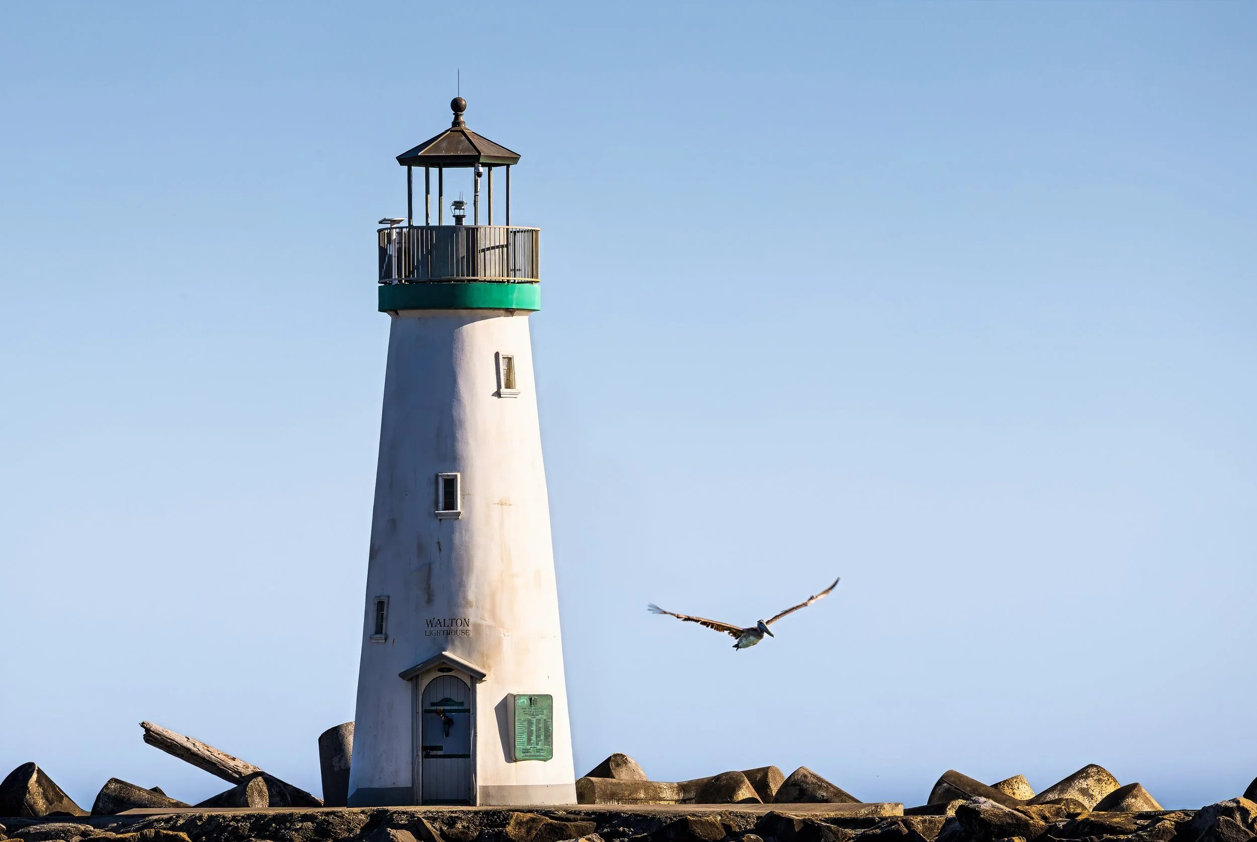 A white lighthouse with a green band near the top, a small balcony, and a black roof, standing on a rocky shore under a clear blue sky. A bird flies nearby.