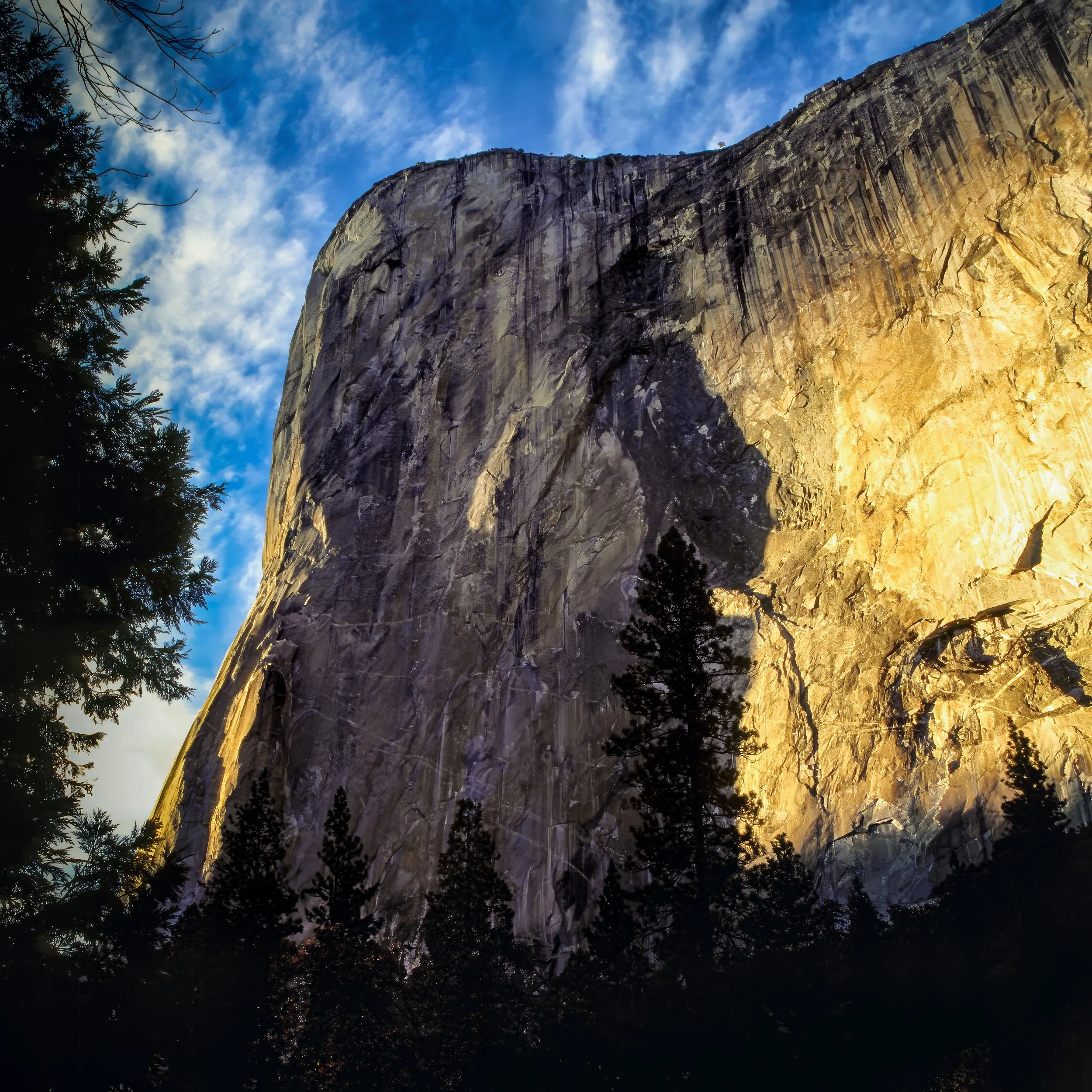 View of El Capitan in Yosemite illuminated by sunlight against a partly cloudy sky with trees in the foreground.