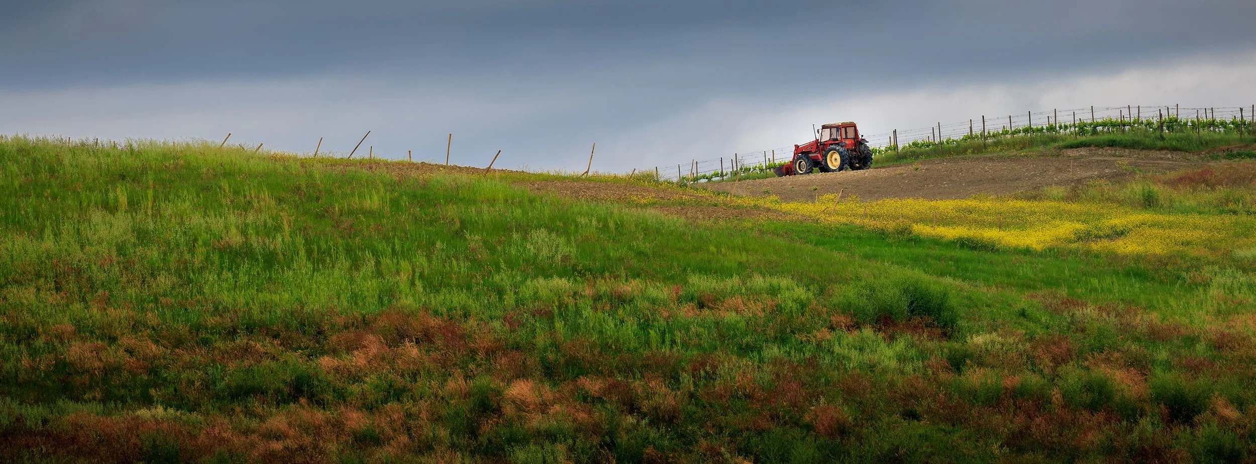 A red tractor on a hilltop field under a cloudy sky, with patches of green grass and some yellow flowers.