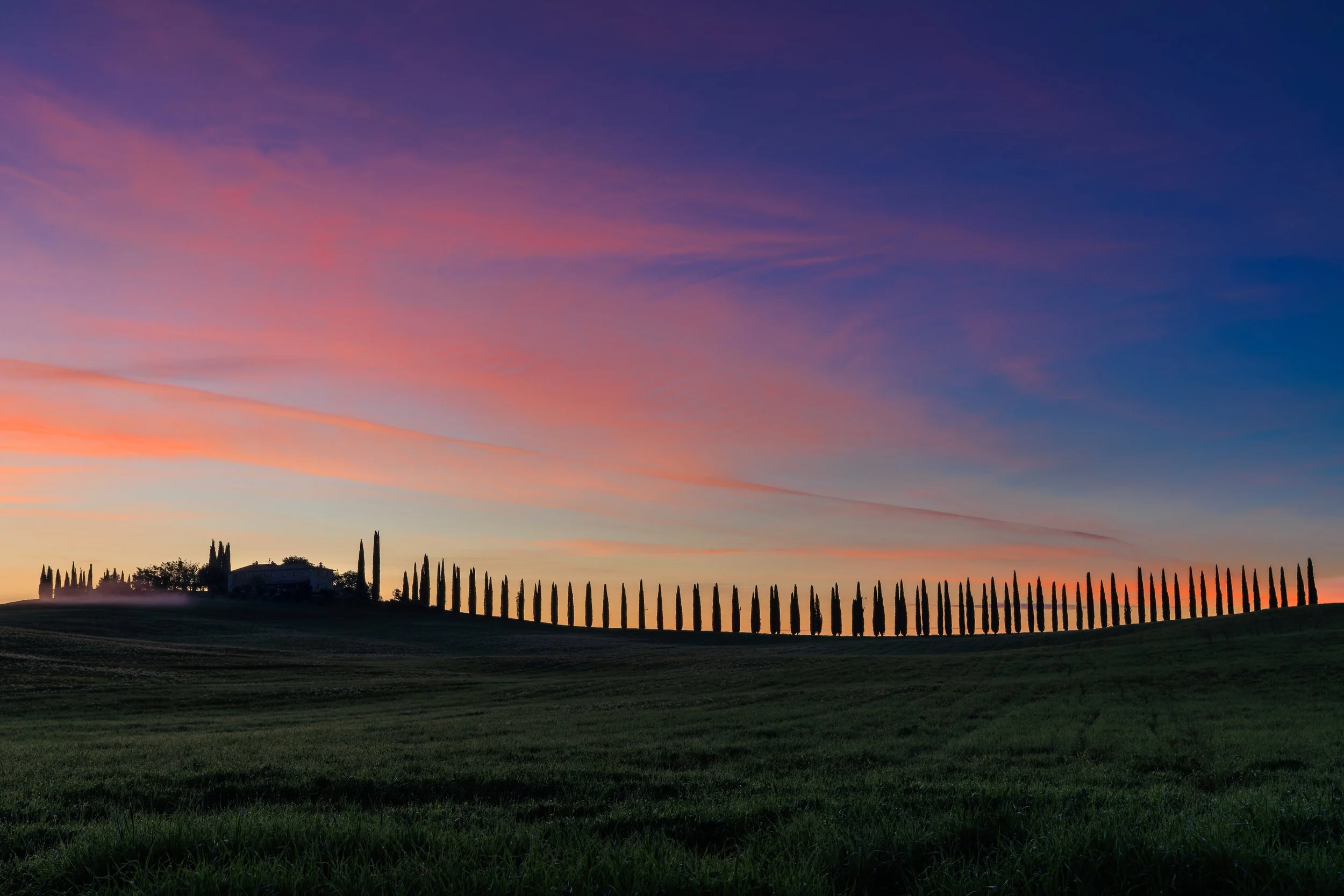 Scenic landscape with rolling hills, a row of tall, thin cypress trees, and a house in the distance at sunset with colorful pink, purple, and orange sky.